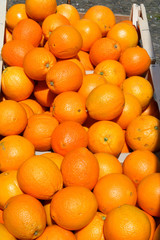 oranges in a box outside a shop.