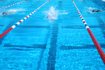 Obraz premium swimmers