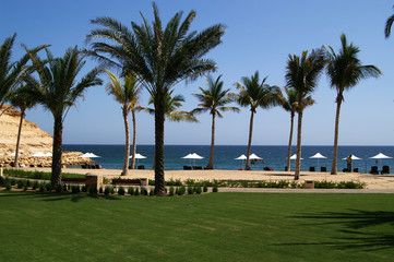 plage 11