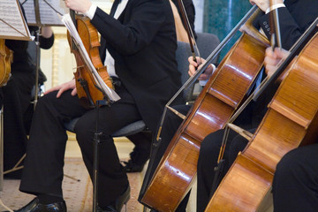 the concert of the classical music