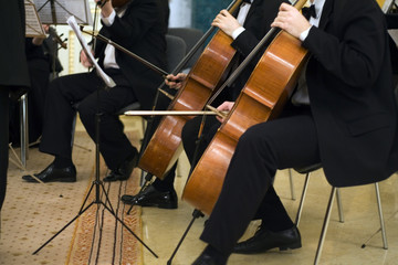 the concert of the classical music
