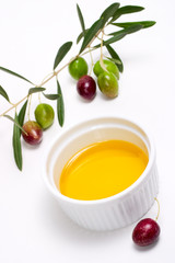 olives twig and pure olive oil