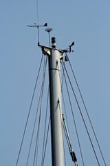 the mast of a yacht