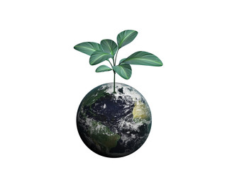 growing earth