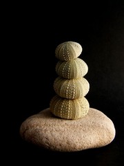 treasures from the sea