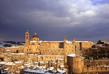 urbino