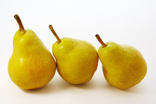 three yellow pears