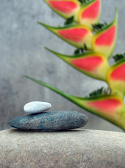 Obraz na płótnie Canvas pebbles arangement - tropical spa