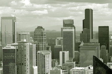 Fototapeta premium seattle