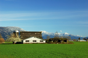 Obraz premium farmland in spring