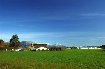 farmland in spring