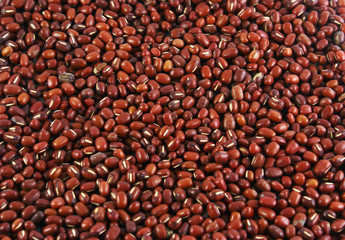 beans
