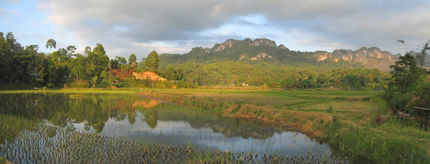 lake and the ricefields at the sunset from londa to kete kesu, r
