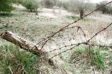 stacheldrahtzaun