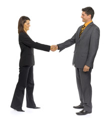 handshake of two business people