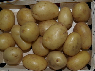tubercules...pomme de terre