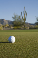 desert golf course