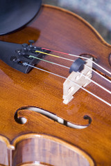 violin closeup