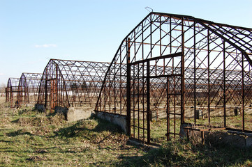 desolated greenhouse