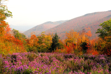 (01813) white mountains scenic