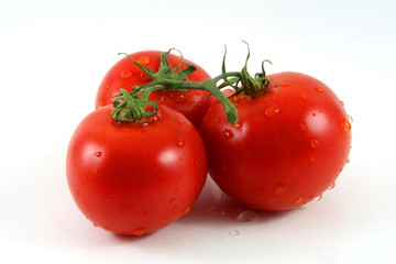 ripe tomatos