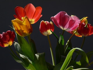 bunter blumenstrauss