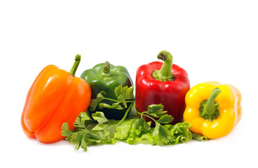 multicolored paprika