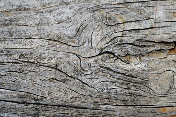 background ,texture,wood