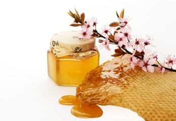 spring honey