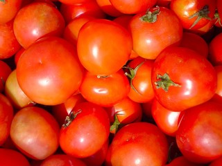 tomatoes background 01
