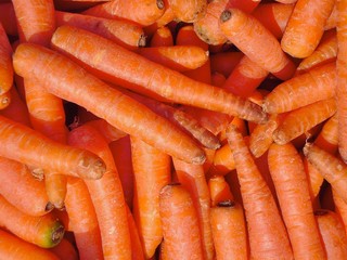 carrots background