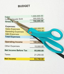 cutting the budget