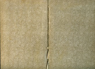 floral ornament on old book cover