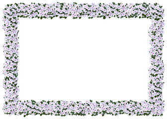 pink impatiens frame. from the floral frames serie