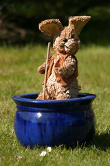 lapin05