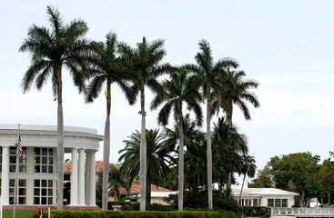 five palms and a mansion