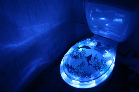 wc fluo