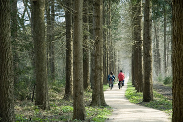 Obraz premium family on biclyce