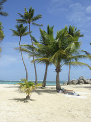 plage de sable blanc