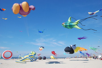 nuée de cerfs volants