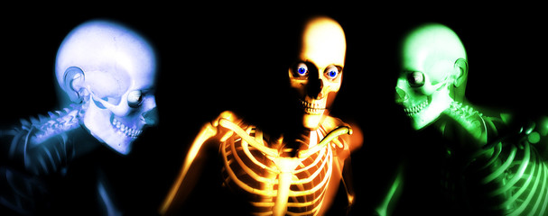 human bones 112