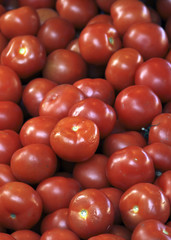 french market tomatoes