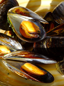 cooked mussels