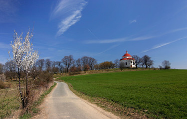 road through the spring countryside
