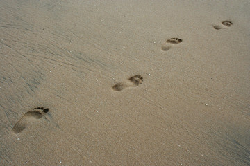 Fototapeta na wymiar ślady na piasku