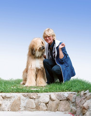 afghan-dog and woman isolated on blue
