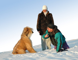 afghan-dog and woman and man isolated on blue