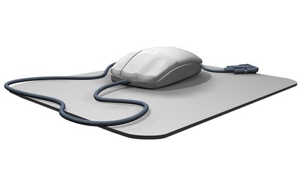 computer mouse
