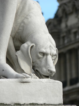 sculpture du jardin des tuilerie - chien