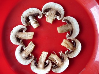 mushrooms 01